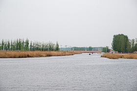 河北省雄安新区白洋淀照片