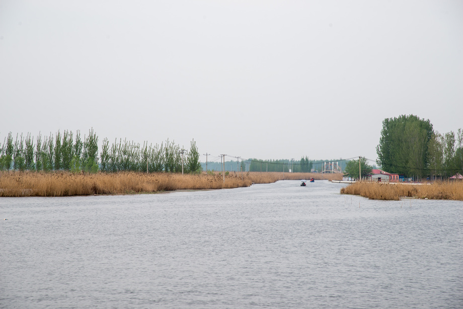 河北省雄安新区白洋淀照片 河北省雄安新区白洋淀照片