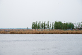 河北省雄安新区白洋淀图片