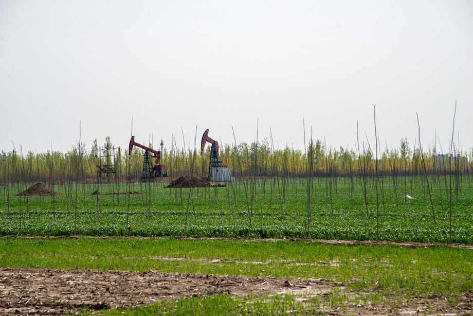 河北省任丘油田 河北省任丘油田