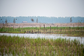 河北省雄安新区白洋