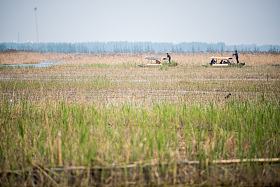 河北省雄安新区白洋
