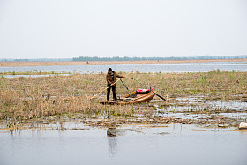 河北省雄安新区白洋淀图片