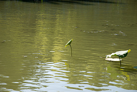 北京北海公园图片