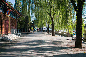 北京北海公园图片