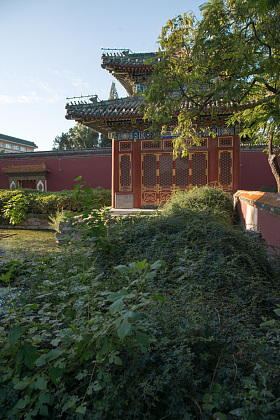 北京北海公园图片