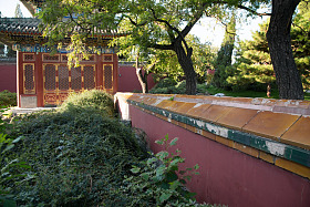 北京北海公园图片