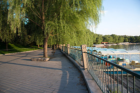 北京北海公园图片