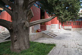 北京雍和宫