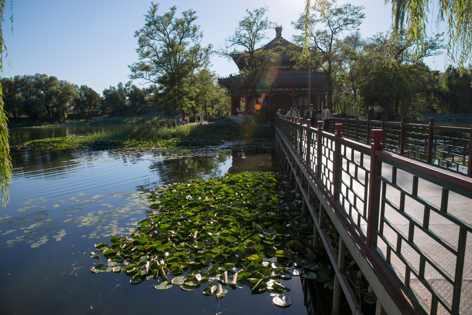 北京圆明园照片 北京圆明园照片