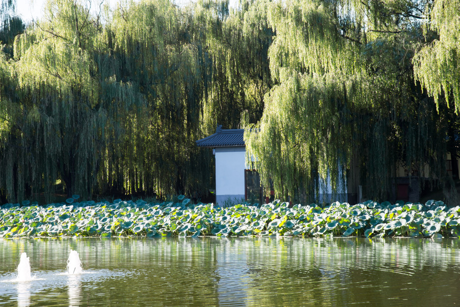 北京圆明园 北京圆明园