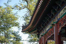 北京圆明园公园图片