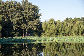 北京圆明园