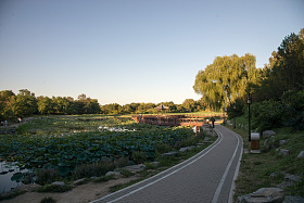 北京圆明园照片