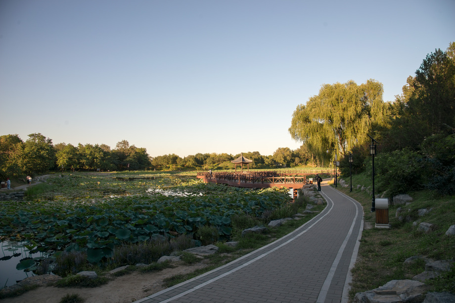 北京圆明园照片 北京圆明园照片