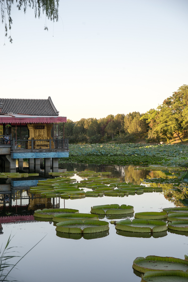 北京圆明园