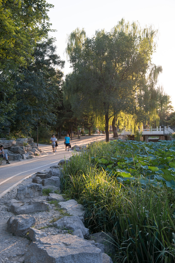 北京圆明园照片 北京圆明园照片