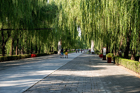 北京十三陵图片