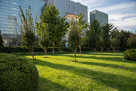 北京东直门图片