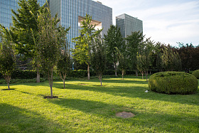 北京东直门图片