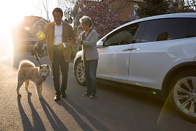 老年夫妇在户外遛狗图片