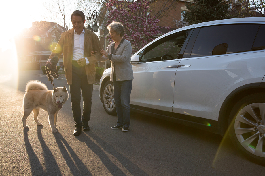 老年夫妇在户外遛狗图片 老年夫妇在户外遛狗图片
