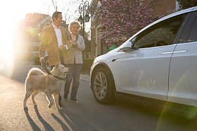 老年夫妇在户外遛狗图片