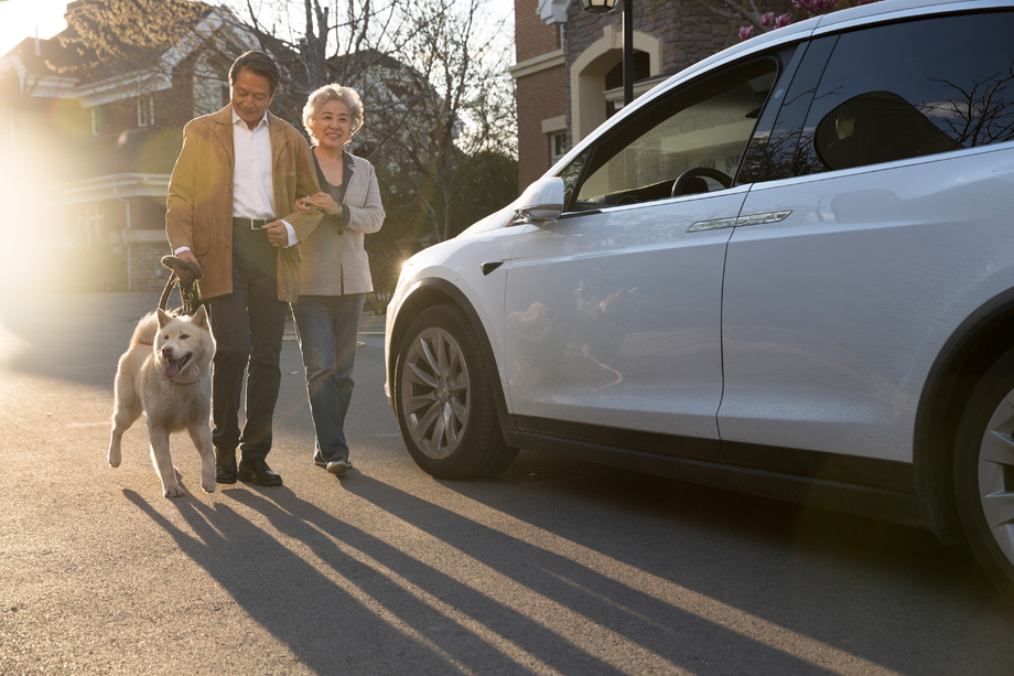 老年夫妇在户外遛狗 老年夫妇在户外遛狗