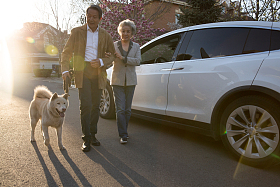 老年夫妇在户外遛狗图片