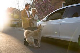 老年夫妇在户外遛狗图片