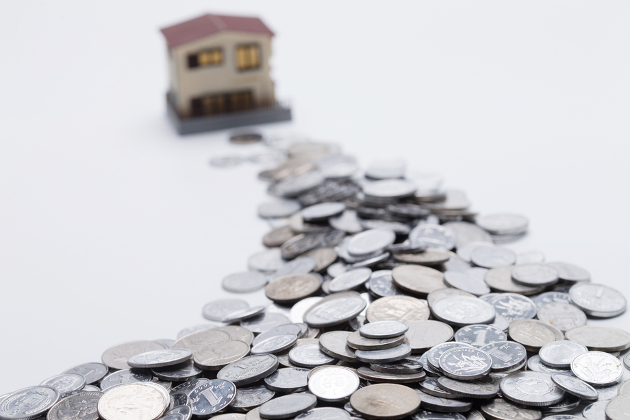 硬币和房屋模型 硬币和房屋模型