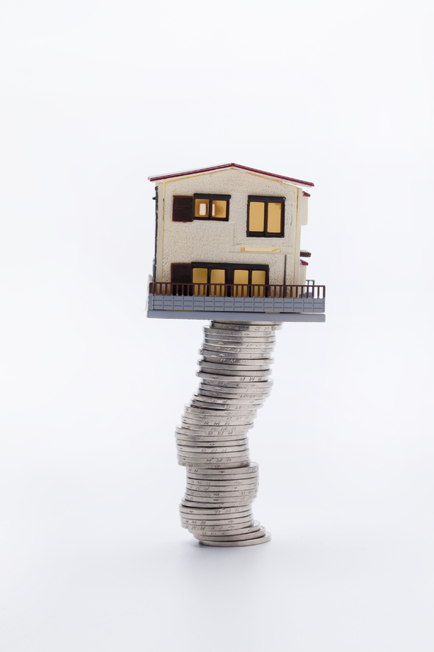 硬币和房屋模型 硬币和房屋模型
