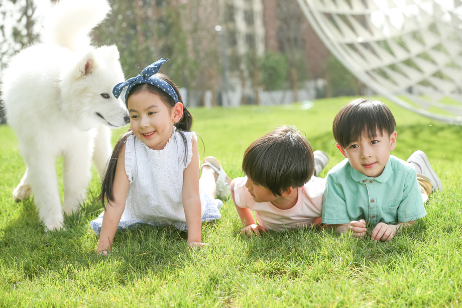 快乐的孩子趴在草地上