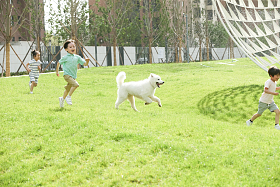 快乐的孩子们在草地上玩耍