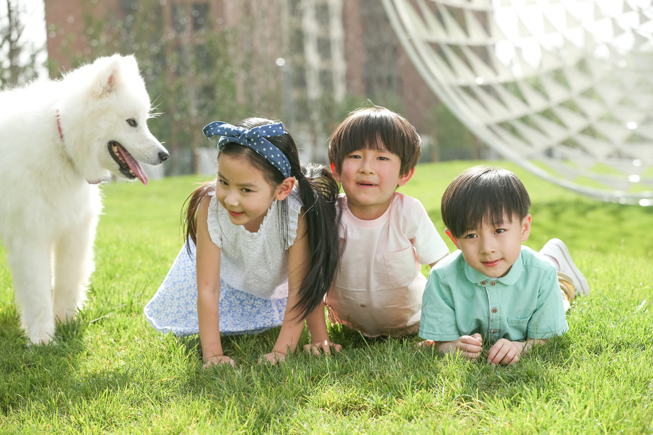 快乐的孩子趴在草地上 快乐的孩子趴在草地上