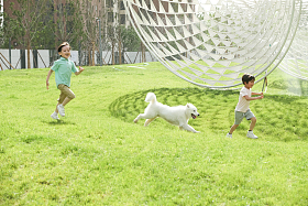 快乐的孩子们在草地上玩耍