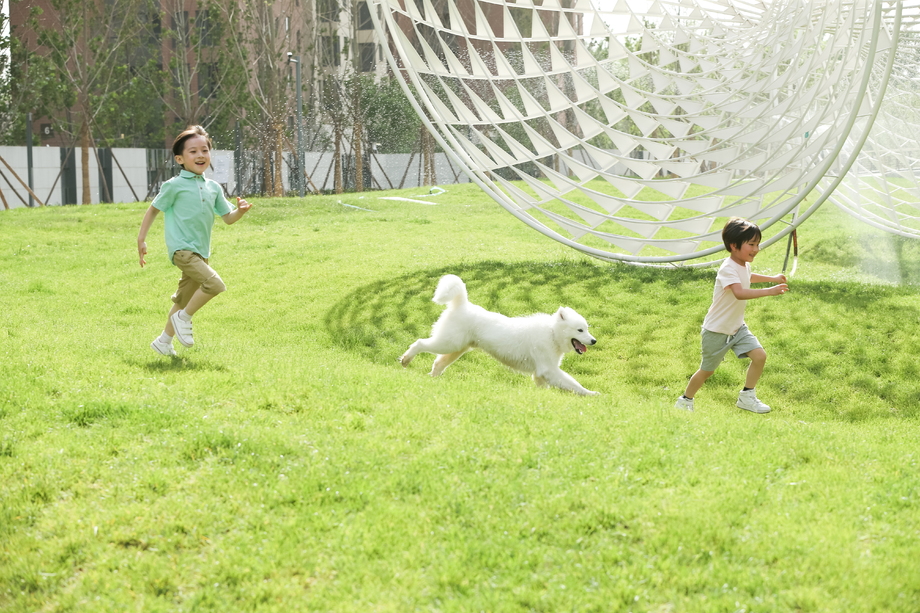 快乐的孩子们在草地上玩耍 快乐的孩子们在草地上玩耍