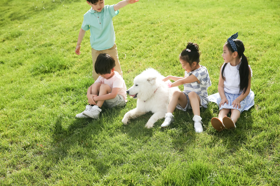 快乐的孩子在外面玩耍照片 快乐的孩子在外面玩耍照片