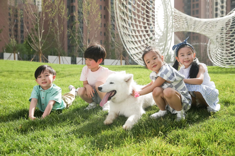 快乐的孩子在外面玩耍图片 快乐的孩子在外面玩耍图片