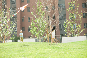 儿童在草地上玩耍照片