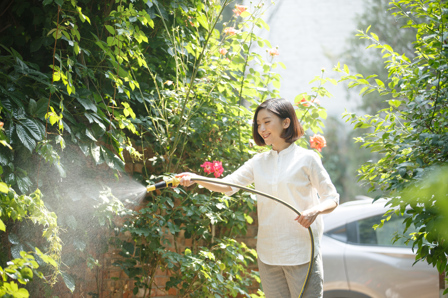 青年女人户外浇花 青年女人户外浇花