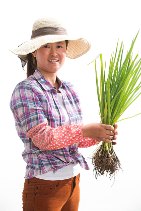 中年女人拿着一捆小葱