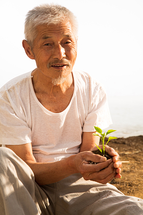 老农民手捧小苗照片