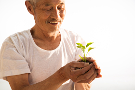 老农民手捧小苗