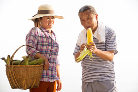 农民拿着玉米图片