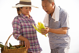 农民拿着玉米图片