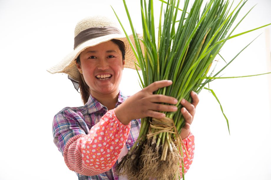 中年女人拿着一捆小葱图片 中年女人拿着一捆小葱图片