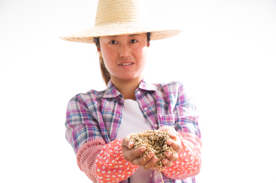 捧着麦子的农民 捧着麦子的农民