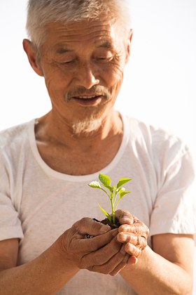 老农民手捧小苗照片