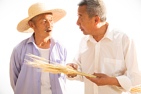 两位老农民拿着麦穗